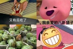 私域吃瓜,社交圈内的秘密狂欢