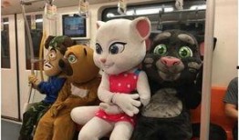 吃瓜汤姆猫,揭秘宠物界的“八卦达人”