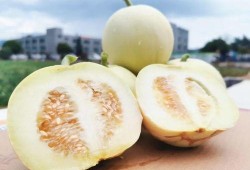 吃瓜群众快来花式吃瓜图片,跟随吃瓜群众一起领略视觉盛宴