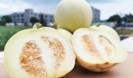 吃瓜群众快来花式吃瓜图片,跟随吃瓜群众一起领略视觉盛宴