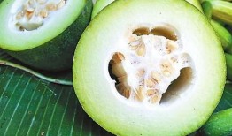 自产自吃瓜,共享田园生活乐趣