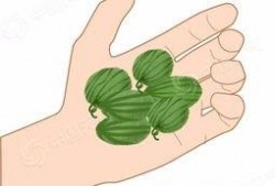 大旺带你吃瓜,尽享味蕾盛宴