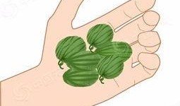 大旺带你吃瓜,尽享味蕾盛宴