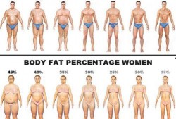 吃瓜的shriley,揭秘娱乐圈幕后故事