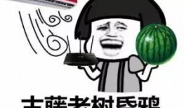 买个瓜吃吧,买瓜吃吧，尽享清凉时光