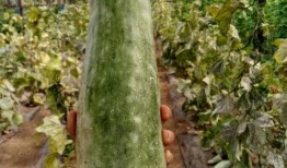 带你吃瓜看点,揭秘娱乐圈最新热点事件