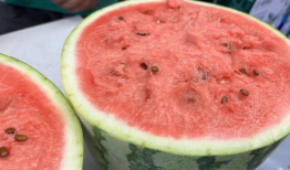 吃瓜瓜不瓜,一场关于网络热词的趣味探讨