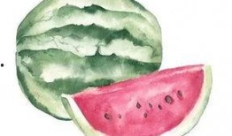 吃瓜用刀,揭秘吃瓜用刀的独特魅力