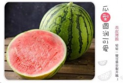 诡界吃瓜,揭秘吃瓜群众的神秘世界