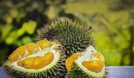 吃蜜罐瓜会长胖吗,揭秘吃瓜长胖的秘密