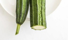 夏凉吃瓜,夏凉吃瓜，清凉一夏