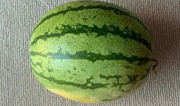 吃瓜全世界,揭秘各国独特的美食文化