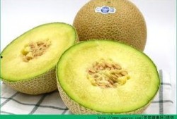 宝宝黄疸可以吃哈密瓜吗,宝宝黄疸期间的适宜水果选择