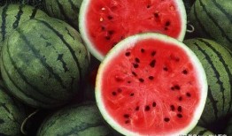 小瓜皮吃瓜,揭秘娱乐圈那些不为人知的幕后故事