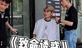 恶搞视频吃瓜路人,揭秘网络恶搞的魅力