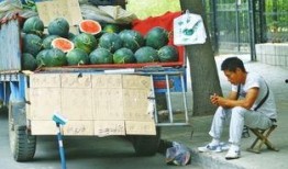 吃瓜广告人,揭秘娱乐圈背后的甜蜜与苦涩