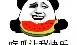 吃瓜群众看到什么,揭秘吃瓜群众眼中的惊人一幕