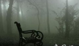 吃瓜投稿灵异,吃瓜投稿背后的灵异之谜