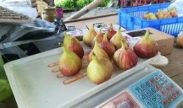 翰林吃瓜事件,揭秘娱乐圈背后的权力斗争与舆论风暴