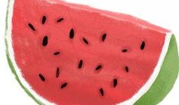 小瓜皮吃瓜,揭秘娱乐圈那些不为人知的幕后故事