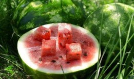 喜欢当一名吃瓜群众,我是快乐的吃瓜群众