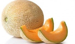 枇杷可不可以和哈密瓜吃,食用搭配的适宜性探讨