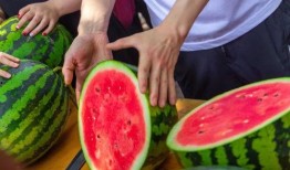 云南大学吃瓜,吃瓜群众的味蕾盛宴