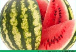 每日慧君吃瓜,揭秘娱乐圈最新“吃瓜”事件