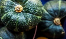 吃鲜瓜胖吗,增肥还是瘦身？揭秘鲜瓜热量真相