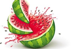 吃瓜快乐图文,图文揭秘娱乐圈幕后趣事