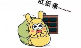 吃瓜群众的欢乐,吃瓜群众的欢乐盛宴