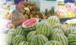 临沂莒县吃瓜,探寻临沂莒县特色美食之旅