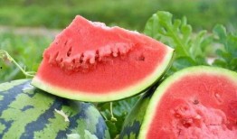 吃瓜看广东,探寻粤菜魅力与地域风情