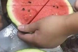 吃瓜大夫,网络红人的崛起与影响力