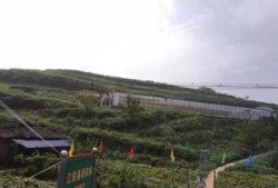 长垣苗寨吃瓜事件,一场引发热议的乡村美食风波