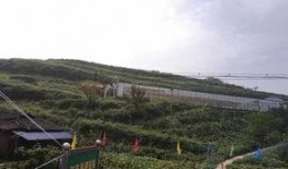 长垣苗寨吃瓜事件,一场引发热议的乡村美食风波