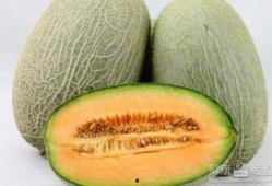 饿肚吃哈密瓜,夏日解馋新选择