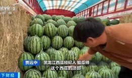 华丰吃瓜,揭秘娱乐圈幕后故事