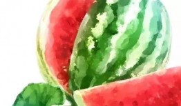 凉爽的吃瓜图片高清,高清吃瓜图鉴，尽享凉爽时光