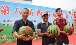 许昌今日吃瓜,吃瓜群众聚焦热点事件