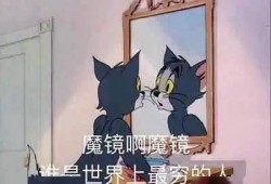 吃瓜汤姆猫,揭秘宠物界的“八卦达人”