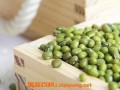 绿豆与方瓜吃,营养美味两不误