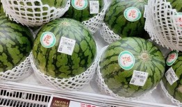 神仙吃瓜系统,揭秘娱乐圈幕后风云