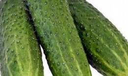 瓜大姐吃小米辣,小米辣的诱惑与挑战