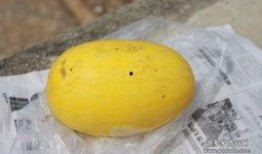 瑞丽最新吃瓜,揭秘娱乐圈幕后真相