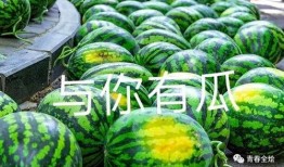 djmilk吃瓜免费,揭秘娱乐圈幕后故事