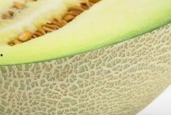 吃甜瓤的瓜,揭秘吃甜瓤瓜的奇妙体验