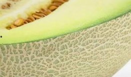 吃甜瓤的瓜,揭秘吃甜瓤瓜的奇妙体验