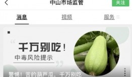 吃瓜看广东,探寻粤菜魅力与地域风情