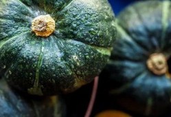 吃瓜老肥,揭秘娱乐圈那些不为人知的幕后故事